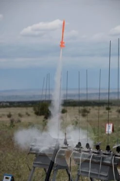 Midge -Toy Creative Parts Store 1b80992969c1b559c32204c7759b5891.image .466x700