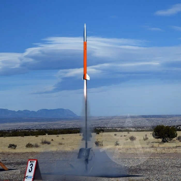 Arreauxbee-Hi 4 Arreauxbee-Hi - Image 2