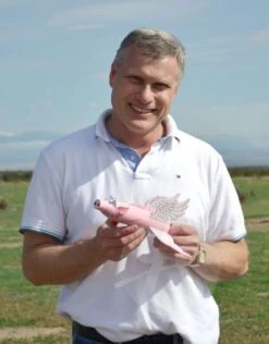 Pigasus 26 Pigasus -Toy Creative Parts Store 96562c058a5ef7a6752a4291c4bdcd02.image .548x700