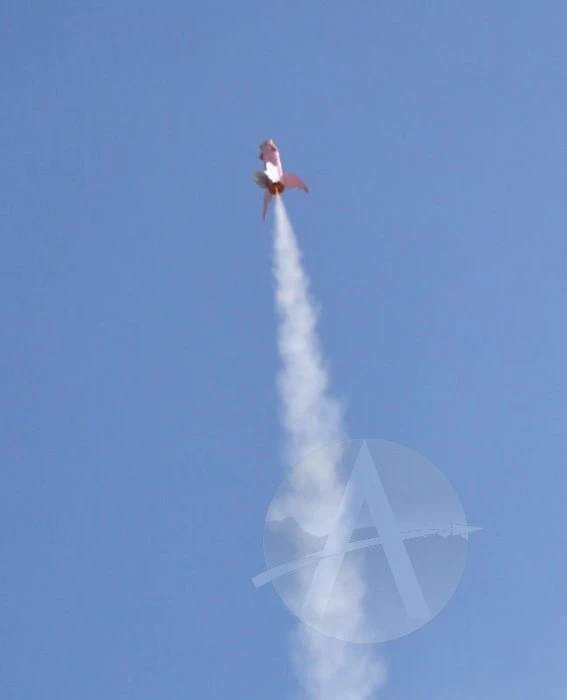 Pigasus 7 Pigasus - Image 5